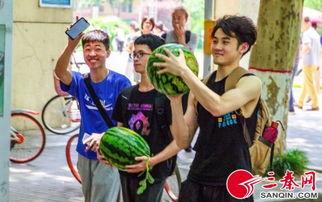 吃瓜学校全集免费看,揭秘校园风云，免费畅享青春喜剧盛宴